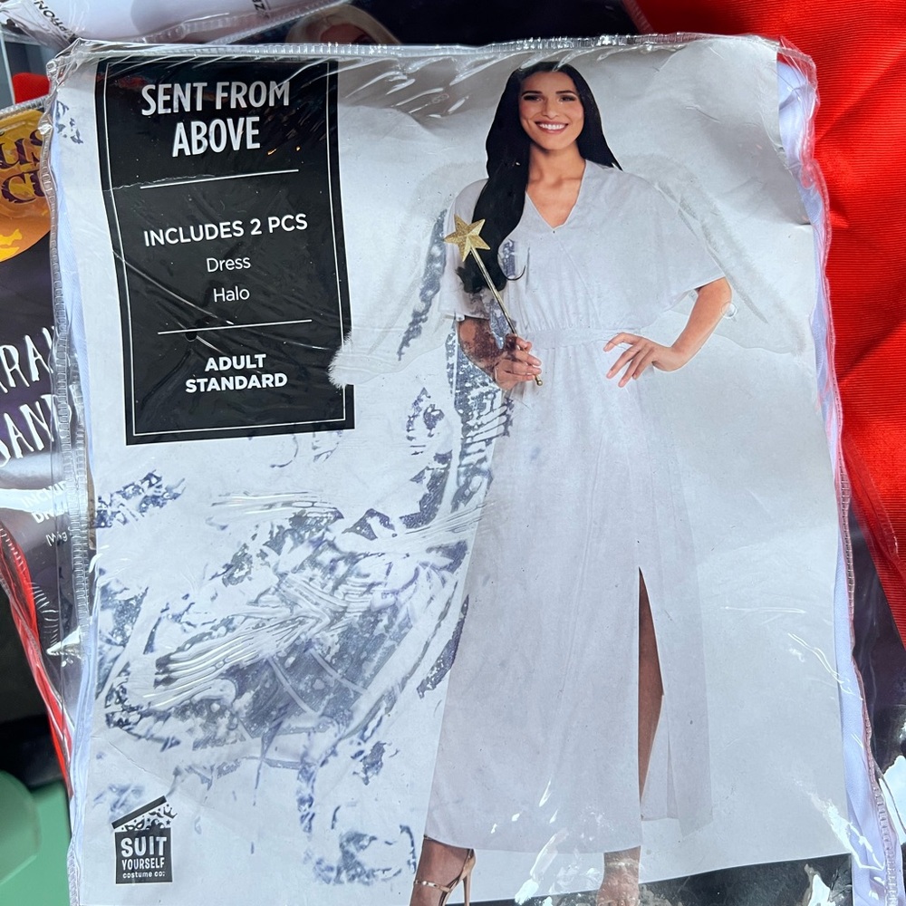 Sent from above women’s costume standard size includes dress and halo